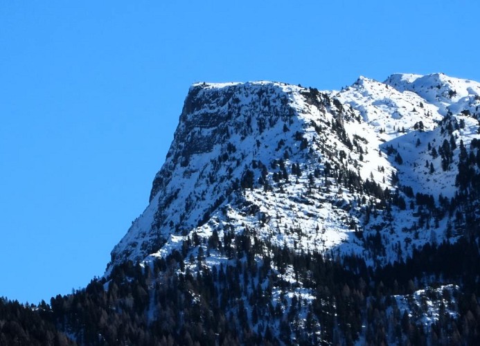 Ferienwohnung Alpenblick