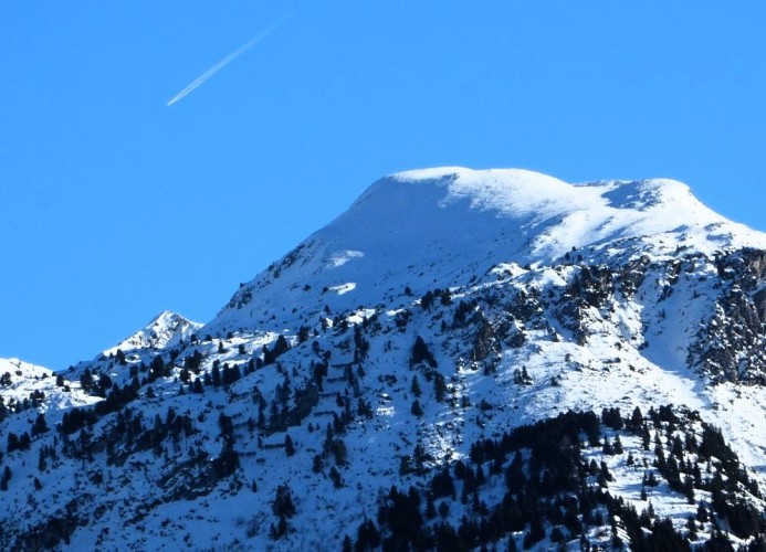 Ferienwohnung Alpenblick